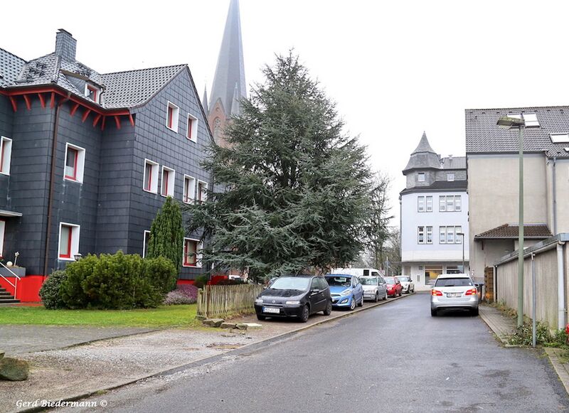 Datei:Bruno-Danek-Weg-02 Gerd Biedermann 20180118.jpg