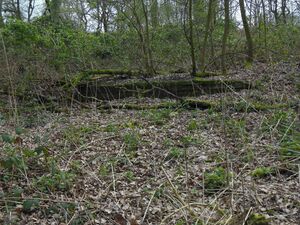 Bunker, Volkspark, März 2019.JPG