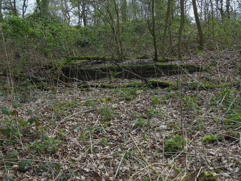 Datei:Bunker, Volkspark, März 2019.JPG