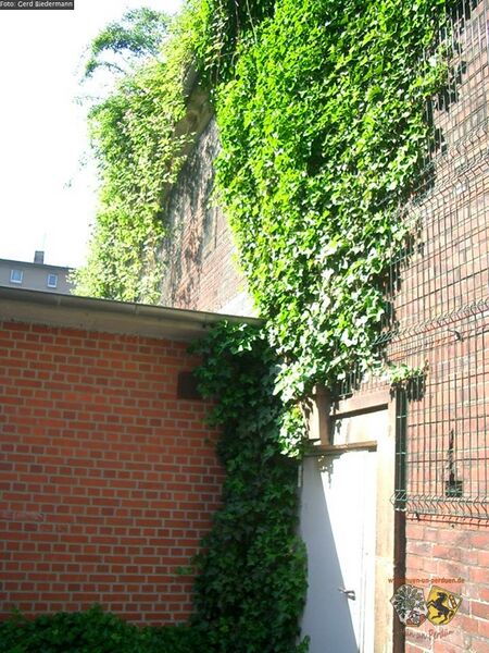 Datei:Bunker Amtmann Winter strasse 1.jpg