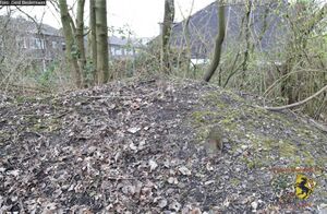 Bunker Börnig 5.jpg