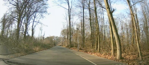 Constantinstrasse 090556 Thorsten Schmidt 2019-02-15.png