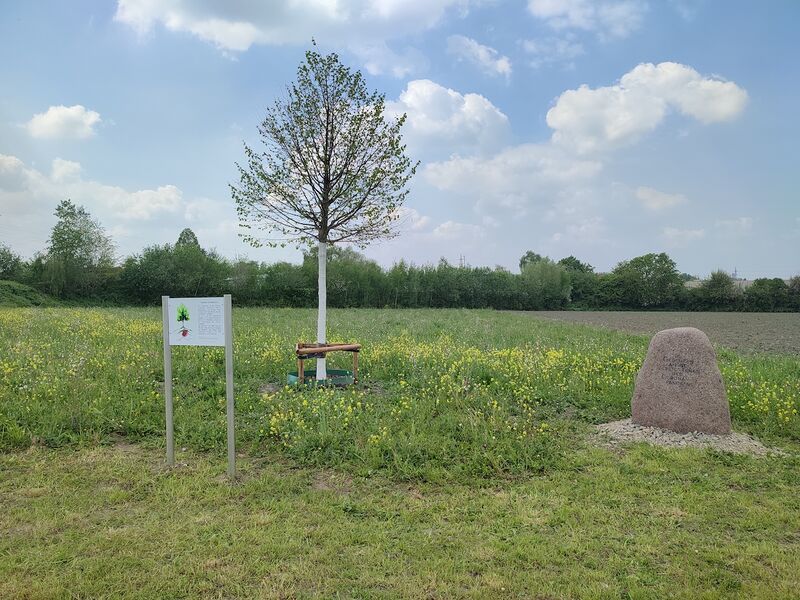 Datei:Corona-Gedenkort Marcus Schubert 20220506.jpg