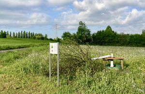 Corona Linde TS 20220512.jpg