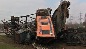 Der gefallene Krumme Hund, 14.03.2012.jpg