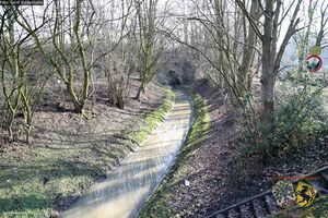 Dorneburger Bach Gerd Biedermann 20161112.jpg
