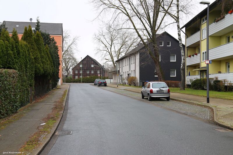 Datei:Drögenkamp Gerd Biedermann 2016.jpeg