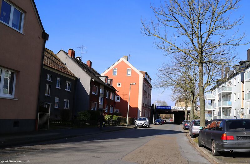 Datei:Eickeler Bruch Gerd Biedermann 2016.jpeg