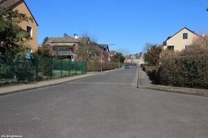 Elchweg Gerd Biedermann 20150308.jpg