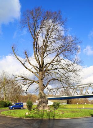 Emscherstrasse Gerd Biedermann 2016.jpeg