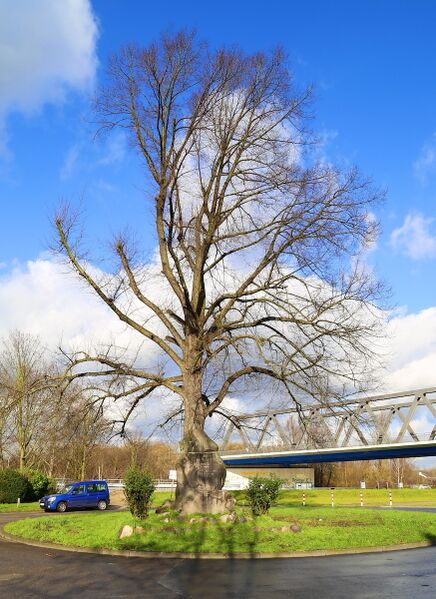 Datei:Emscherstrasse Gerd Biedermann 2016.jpeg