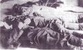 Erschossene Arbeiter im Isolierkrankenhaus Stoppenberg März 1920 [1]