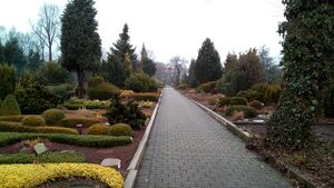 Ev Wanne-Mitte Andreas Janik 20170131-01.jpg