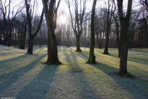 Freizeitpark Gysenberg4.jpg