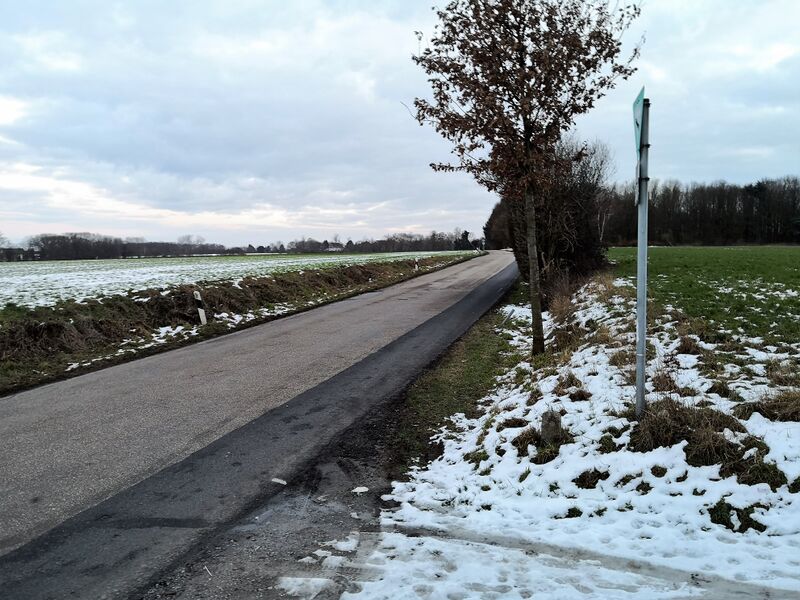 Datei:Gerther Straße 2019 V2.jpg