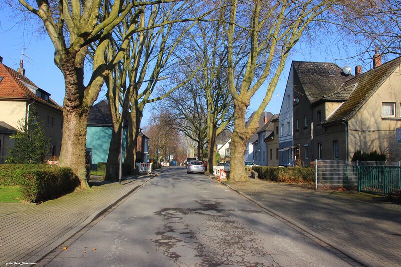 Datei:Grüner Weg.jpg