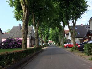 Granitstraße02 20160528 Thorsten Schmidt.jpeg