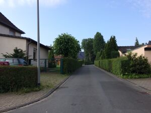 Granitstraße 20160528 Thorsten Schmidt.jpeg