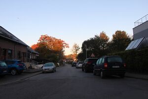 Grimberger Feld 2328 TS 20211024.jpg