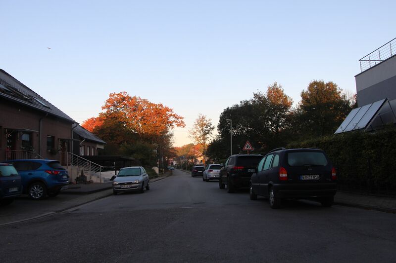 Datei:Grimberger Feld 2328 TS 20211024.jpg