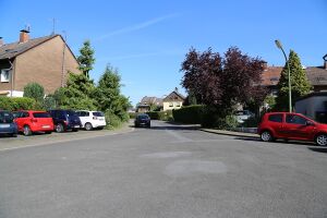 Höttenbusch Gerd Biedermann 20170515.jpg