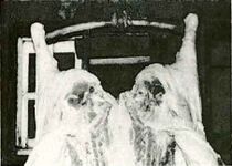 Symmetrisch sicherlich, aber auch appetitlich?