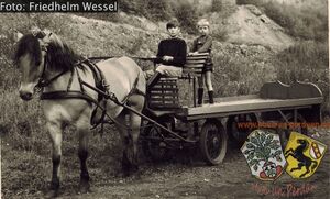 Halde MC mit Pferdewagen Friedhelm Wessel.jpg