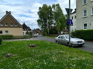 Heinrich-Kellner-Straße Thorsten Schmidt 20170509.jpg