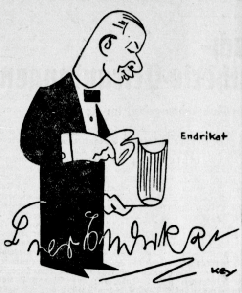 Datei:Herner Zeitung 64 (22.05.1935) Endrikat.png