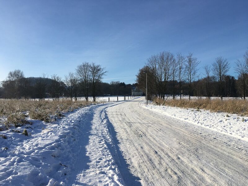 Datei:Heroldstraße 20210214 TS.jpg