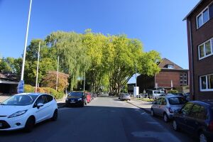 Herzogstrasse 7 Gerd Biedermann 2015.jpeg