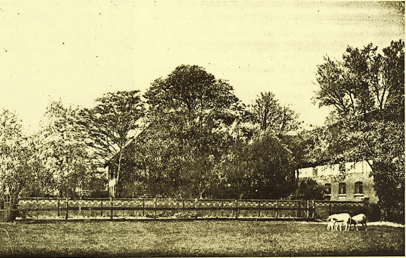 Datei:Hof Schulte Sodingen 1922.png