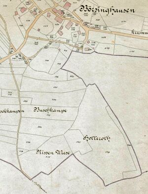 Hotterroth 1886 Börsinghausen Ausschnitt Flur 19 .jpg