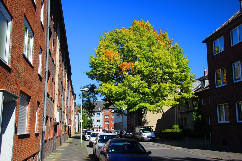 Datei:Hugenpoht Gerd Biedermann 2015.jpeg