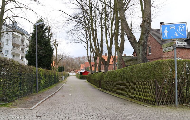 Datei:Im Lakenbruch Gerd Biedermann 2016.jpeg