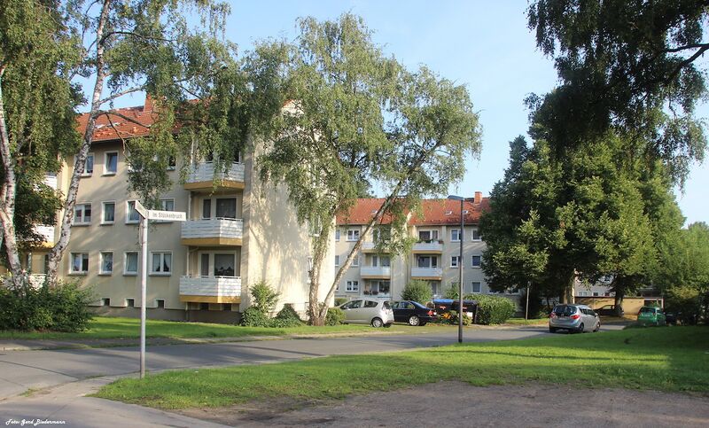 Datei:Im Stückenbruch Gerd Biedermann 20150820.jpg