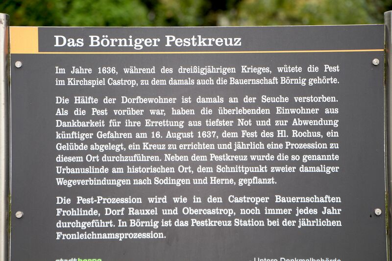 Datei:Informationstafel Börniger Pestkreuz TS 20210919.jpg