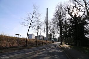 Kastanienallee (2) Gerd Biedermann 2016.jpeg