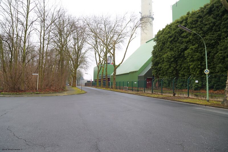 Datei:Kastanienallee Gerd Biedermann 2016.jpeg