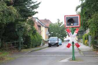 Krokusweg am 15.08.2021