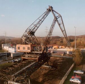 Krummer Hund II, 2011.jpg