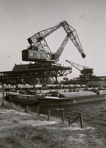 Datei:Krummer Hund III, 1950er Jahre.jpg