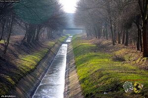 Landwehrbach 7 Gerd Biedermann 20150220.jpg