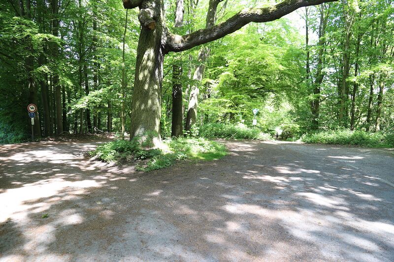 Datei:Langeloh 5 Gerd Biedermann 20170517.jpg