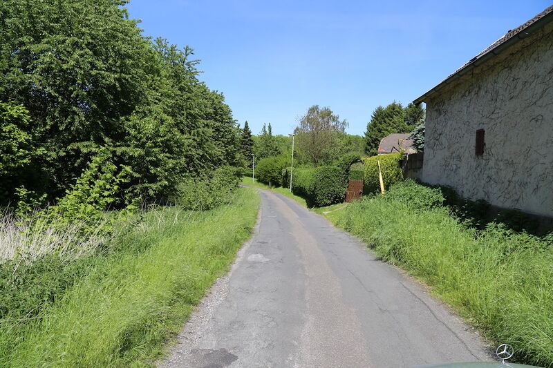 Datei:Langeloh Gerd Biedermann 20170517.jpg