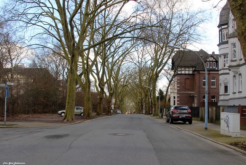 Datei:Luisenstraße2 Gerd Biedermann 2016.jpeg