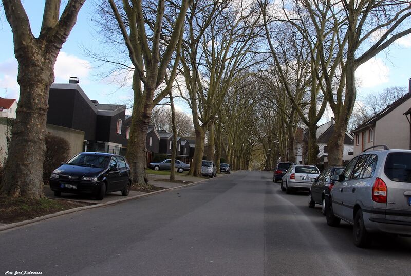 Datei:Luisenstraße Gerd Biedermann 2016.jpeg