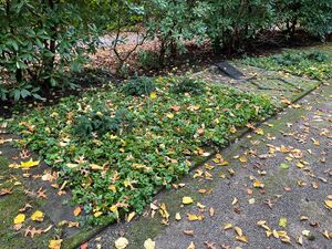Mensing-Märzgefallene-Holsterhausen 01 2025-11-01.jpg
