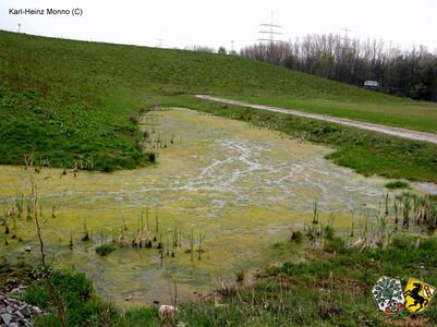 Die vom Hügel ablaufenden Wasser werden in Teichen gesammelt.