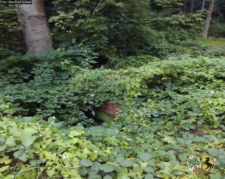 Datei:Ostbach Quelle Manfred Scheel oJ.jpg